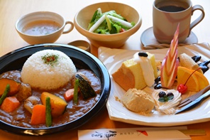 彩り野菜カレーセット